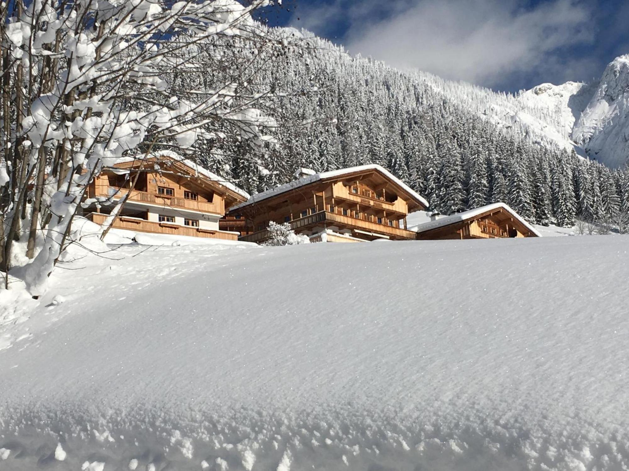 Haus Fernwald Top Tim Und Nynke Alpbach Exterior foto