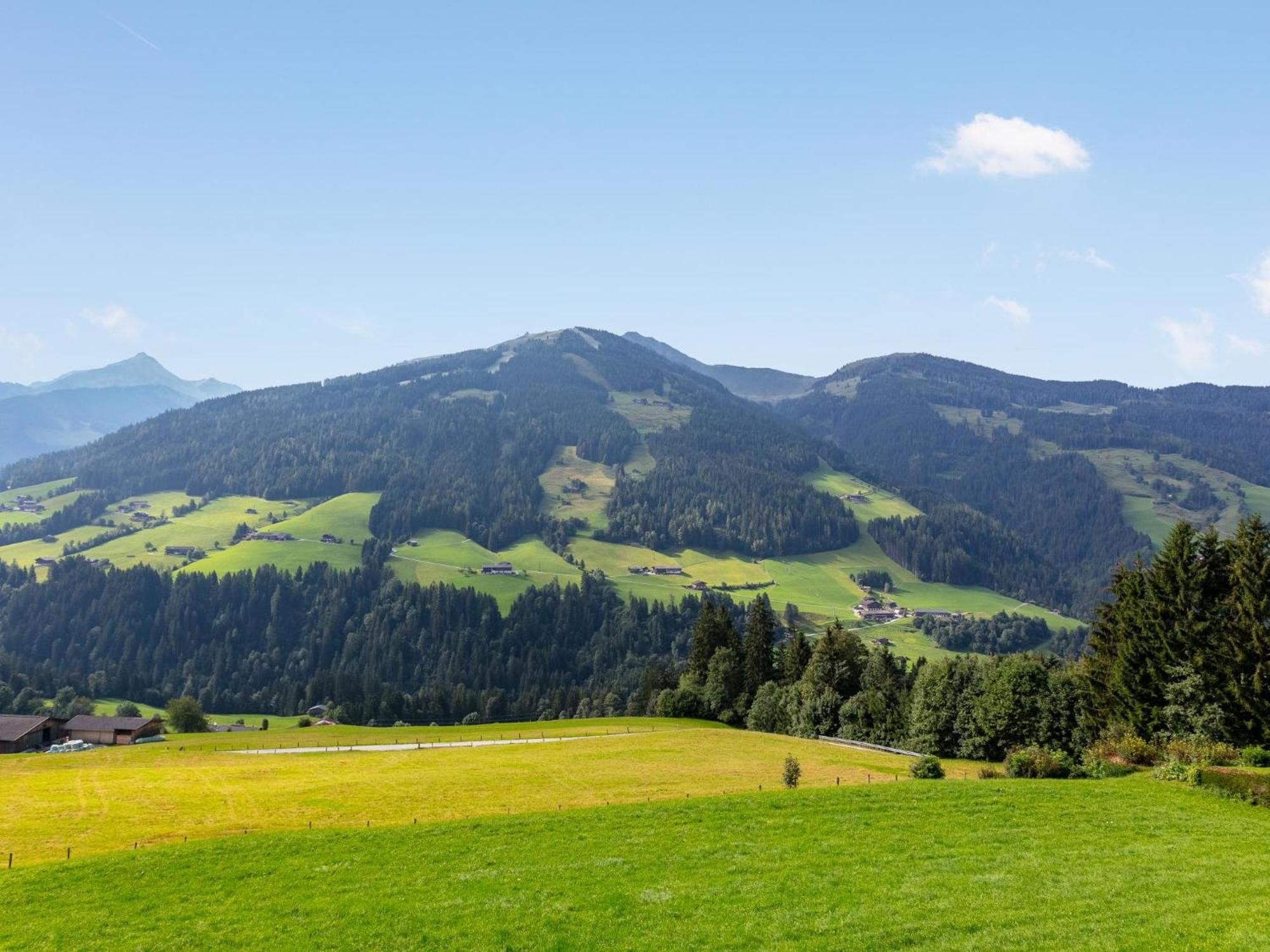 Haus Fernwald Top Tim Und Nynke Alpbach Exterior foto